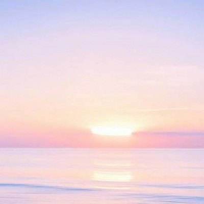 BOB·体育手机APP截图